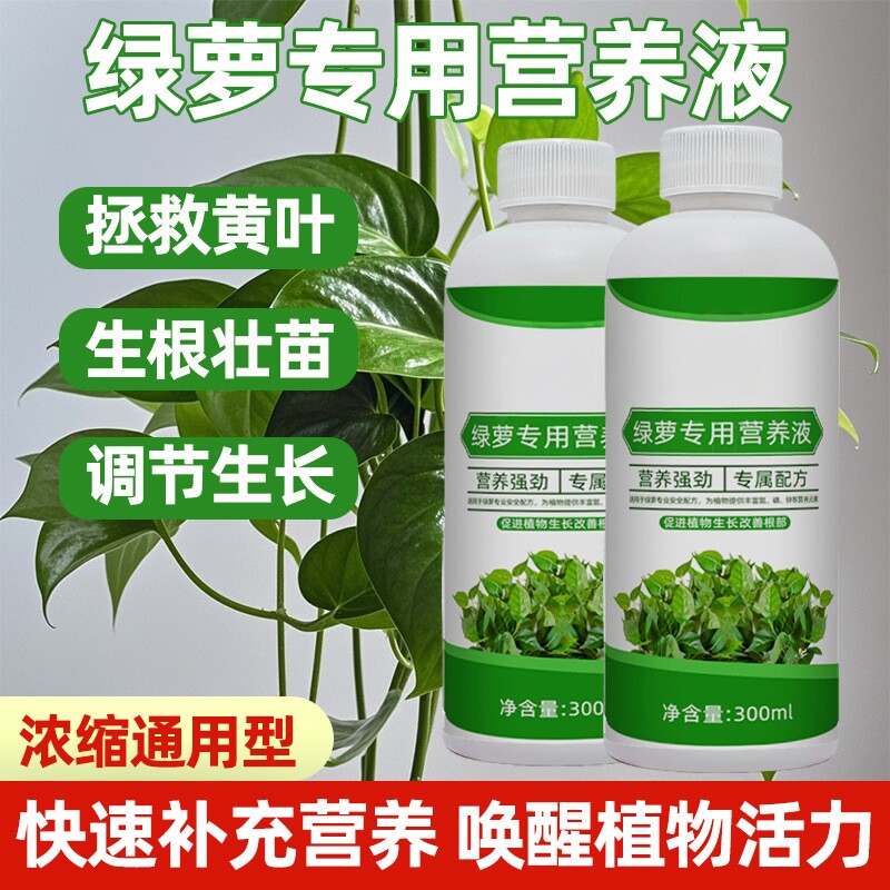 绿萝营养液肥料家用植物盆栽吊兰水培肥料通用型绿箩营业液叶面肥
