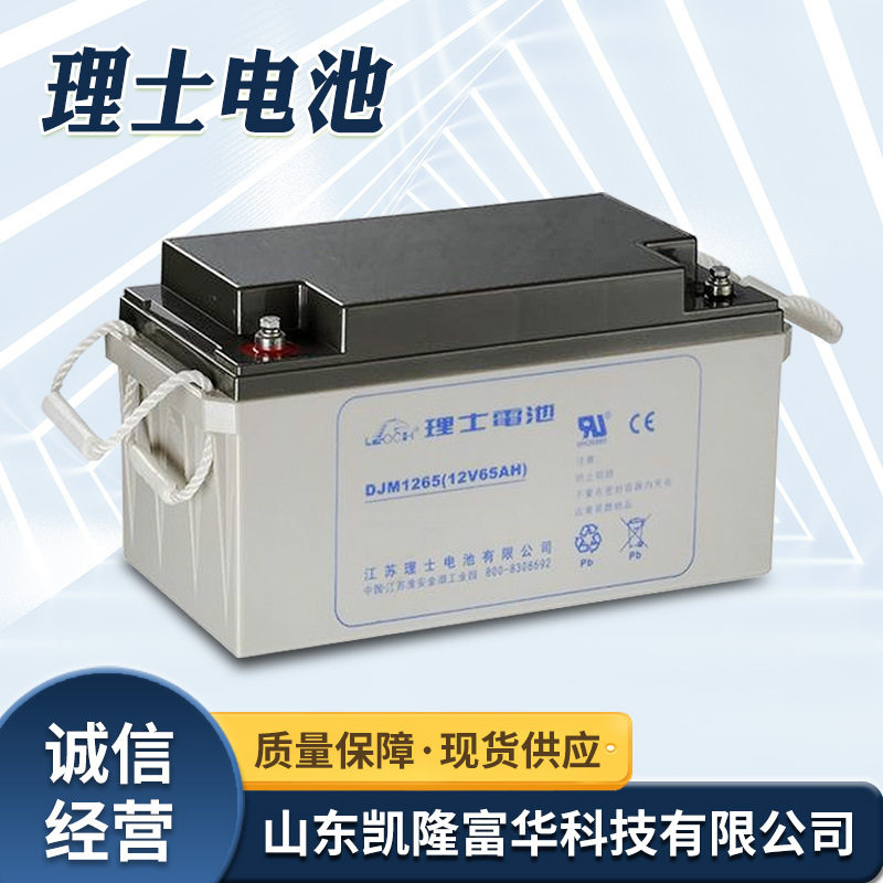 DJM12-65铅酸免维护电池直流屏EPS/UPS后备电源12V6H理士蓄电池