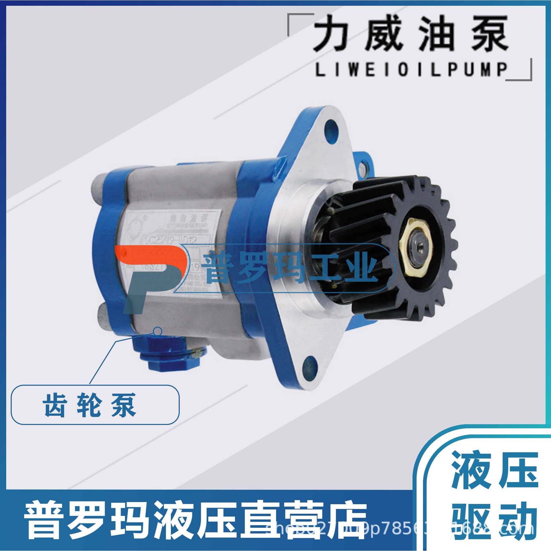 合肥力威汽车转向油泵 中联重科吊车液压助力泵 QC20/15-WP10-ZL图片