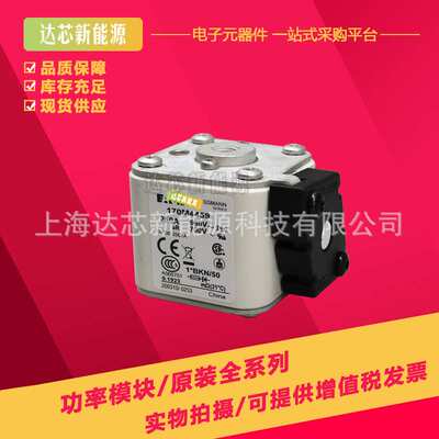 170M3508 170M3509 170M3510 170M3511 170M3512 170M3513熔断器