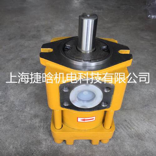 NBT4-G25F NBT4-G32F NBT5-G40F剪板机折弯机用内啮合齿轮泵