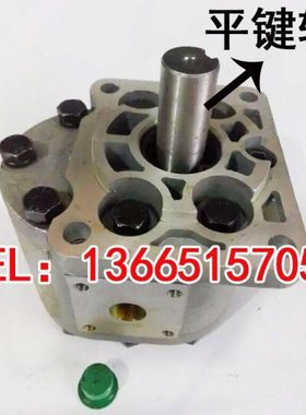 齿轮油泵CBT-G580 CBT-G563 CBT-G532 CBT-G540 CBT-G550 G525