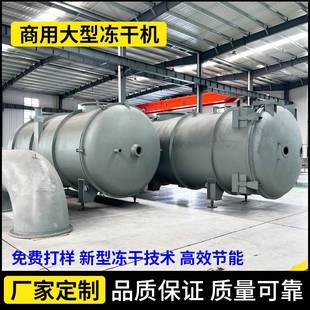 鹿筋松子大型冻干机桑黄熊胆粉低温干燥机海参花胶全自动冻干机