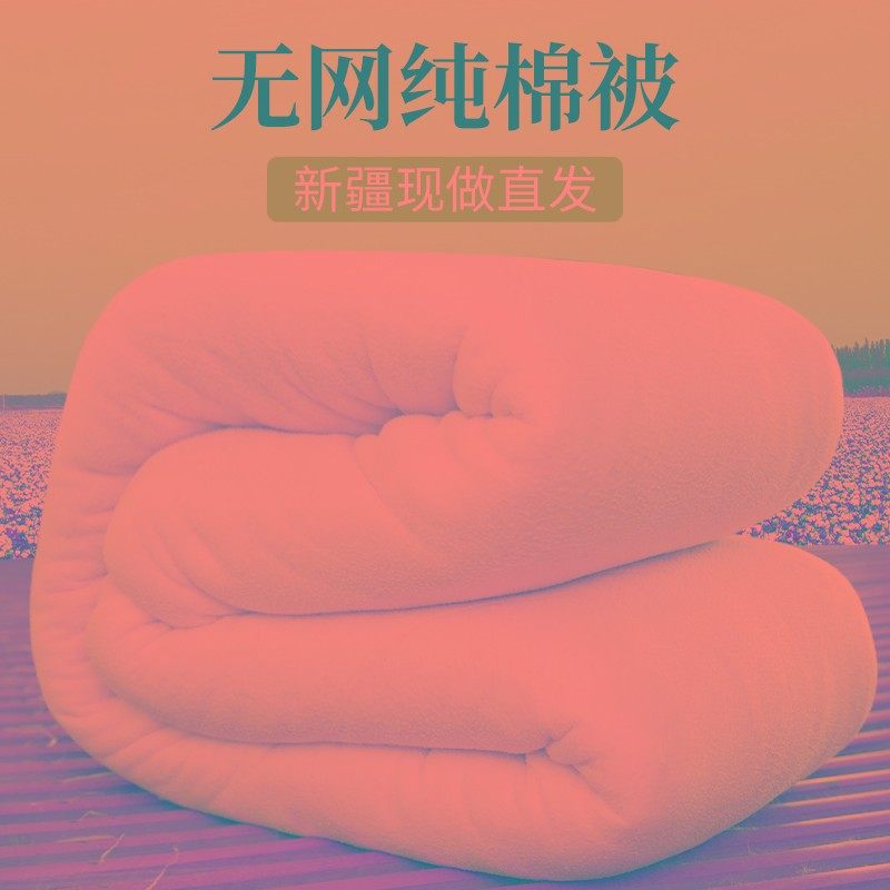 新疆棉被冬被加厚保暖长绒棉花千层无网被子被芯棉胎学生春秋垫被