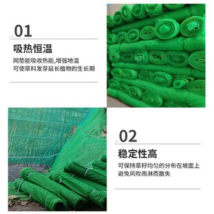 三维植被网绿化植草网边坡固土三维土工网垫护坡生态绿色植被网