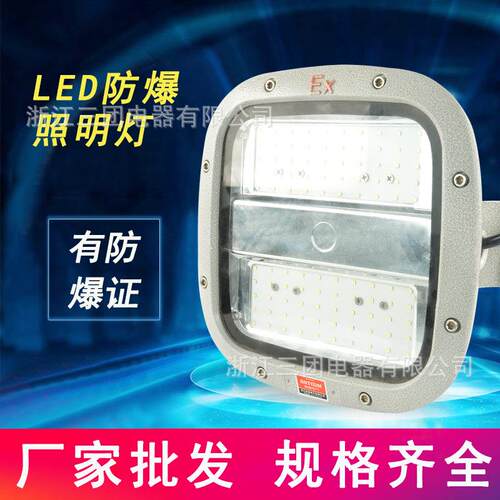 厂家直供LED防爆照明灯20W/30W/40W/50W户外防水照明灯车间泛光灯