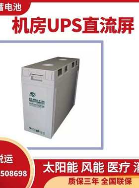 赛特蓄电池BT-MSE-2000光伏储能蓄电池2V2000AH 风力发电蓄电池