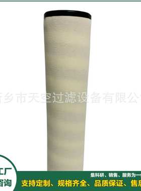 天聚结滤芯C6014-5P1 31-042-010 31042010 HOCP-30810 3253803