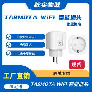 TASMOTA WiFi 智能插头可用于Matter Home辅助监控用电量 16A欧规