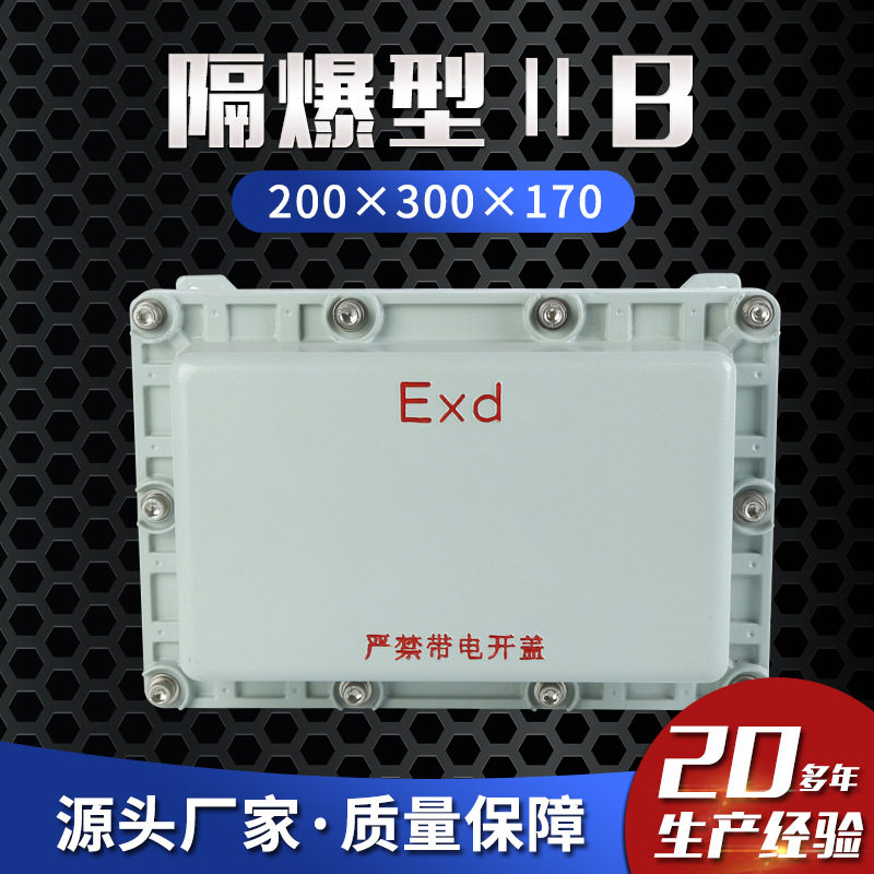 防爆配电箱多规隔防爆按钮箱爆型ⅡBT6200×300×170防爆接线箱