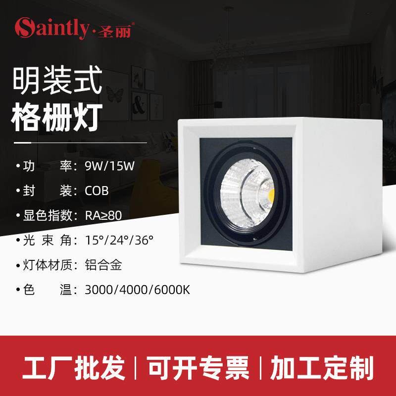 明装式LED格栅灯 双头斗胆灯 家用客厅走廊过道吊顶筒灯 厂家供应
