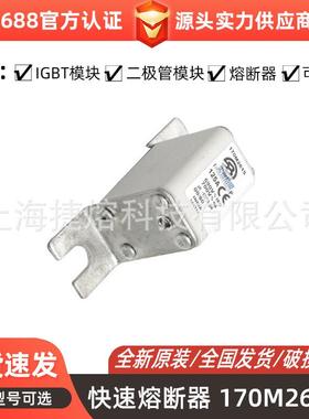 170M1853170M2615170M2619快速熔断器电子元器件库存充足