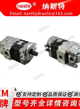 叉车配件液压泵和齿轮泵TDPY-365F2H1-R064D/TCMZ85-7T