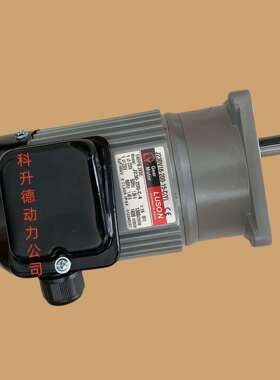 LUSON电机 LY马达 J220V15-200-20-C(Y) J220V15-200-12.5-C(Y)