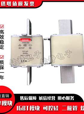 熔断器保险丝3NA3360 3NA3362 3NA3365 3NA3372