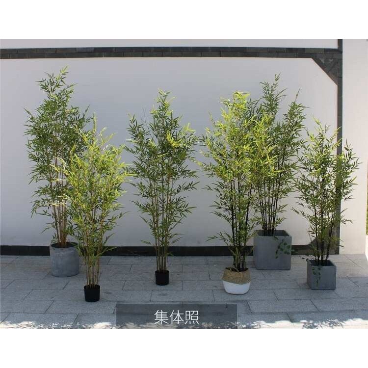 高端仿真竹子紫竹植物绿植禅意书房中式家居橱窗山水造景装饰