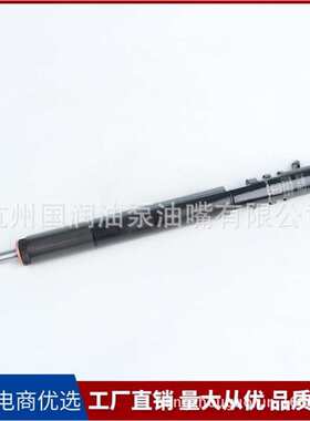 EJBR02601D 喷油器总成适用于德尔福27DT 双龙 机型A6650170121