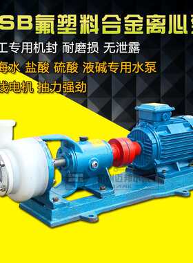 FSB型氟塑料合金离心泵耐腐蚀耐酸碱衬氟化工泵 防腐蚀离心水泵