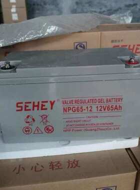 SEHEY西力蓄电池NPG65-12免维护12V65AH 直流屏系统UPS配电柜专用
