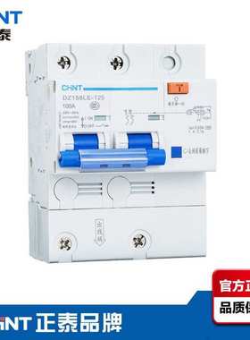小型漏电断路器DZ158LE大功率 100A 2P漏电保护开关漏保总开