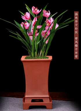 紫砂花盆 四方兰花盆带底座多肉兰草客厅盆景盆 创意陶瓷厂家