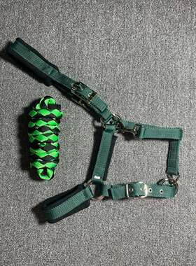 墨绿色尼龙织带小驹子小马大马S/M/L/XL码马笼头/牵马绳马术马具