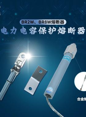 荣控并联电力电容保护熔断器BR2WBR8W-10(12)KV50P1-200A