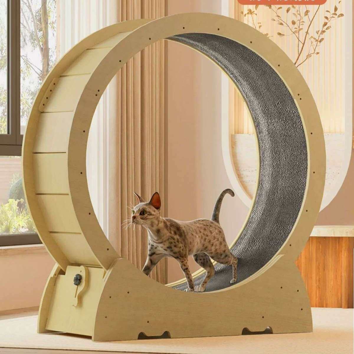 跨境猫咪跑步机猫爬防猫抓猫窝跑道轮木质健身运动放松宠物猫滚轮