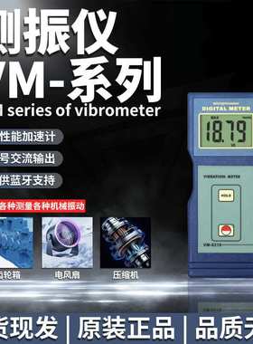 兰泰VM6310数字测振仪振动仪VM6370测震仪振动分析仪测量仪检测器
