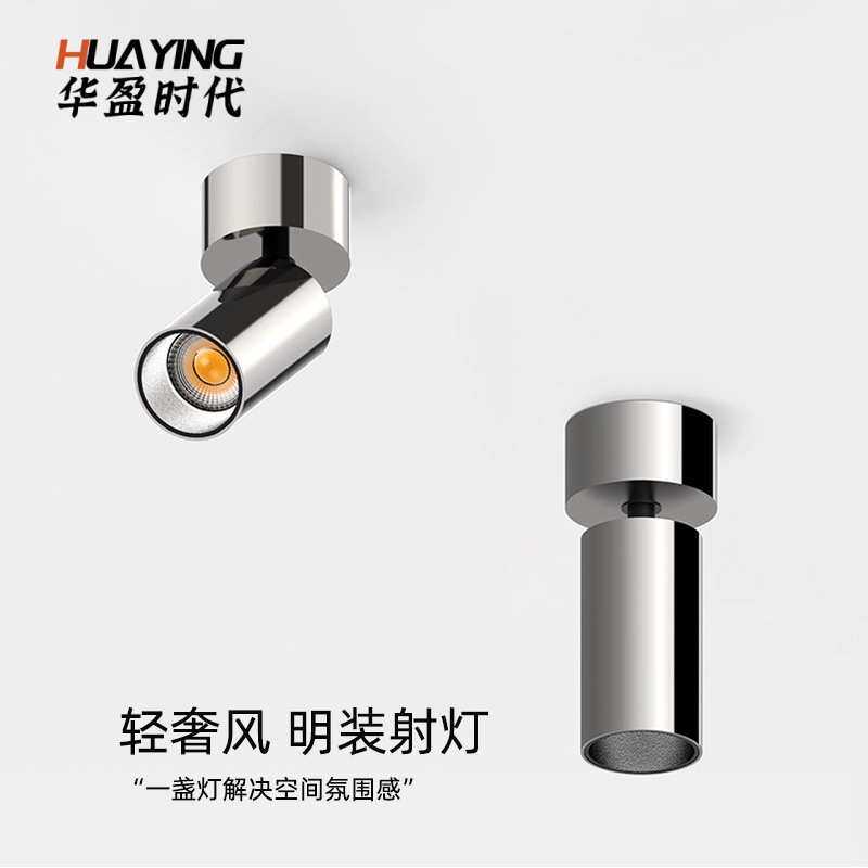 绿羚电镀银色明装射灯中古风360可调角度洗墙照画不锈钢led壁灯具