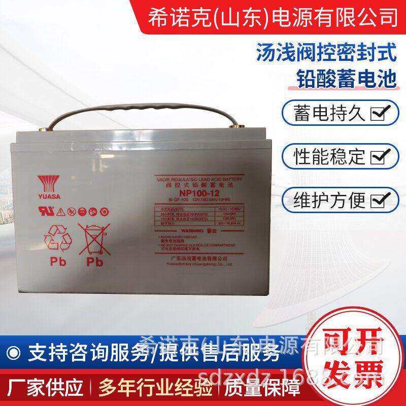 汤浅NP100-12免维护铅酸蓄电池UPS/EPS不间断电源12V100AH电池
