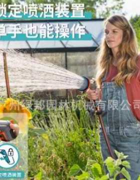 德国 18315 水枪 园艺浇花喷头5模式多功能花园洒水枪