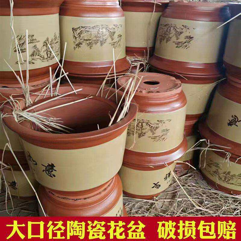 龙缸大花盆陶瓷特大号包邮大号家用粗陶大型种树室外庭院