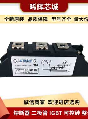 PE130FG80   PE130FG120 型号齐全 标准封装 可控硅整流器