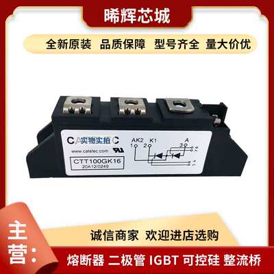 PE130FG80   PE130FG120 型号齐全 标准封装 可控硅整流器