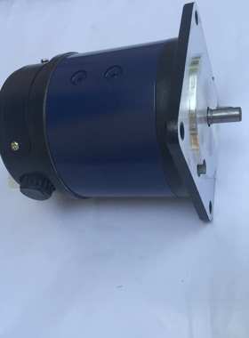 110SZ02直流电机 直流伺服电动机123W DC220V 3000r/min(rpm)