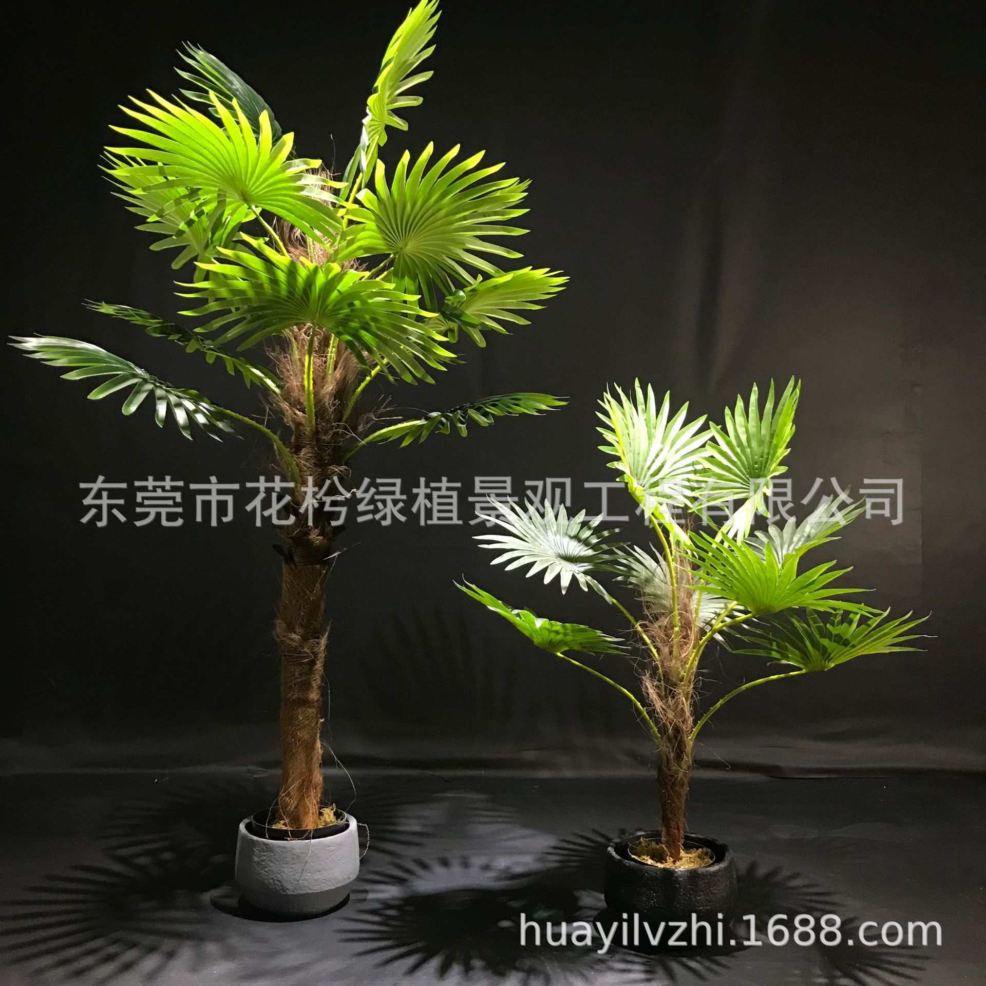 仿真扇葵树盆景高仿真蒲葵树叶盆栽景观室内外热带植物现货代发