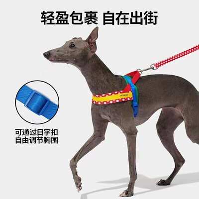 未卡Chroma宠物狗狗胸背牵引绳套装快套式大中小型犬防爆冲遛狗链