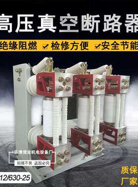 ZN28-12/T630户内高压真空断路器分体式 10KV一体式厂家直供CT19