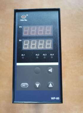上润仪表WP-S816-01-08-HL竖式智能数显多路巡检仪WP-80