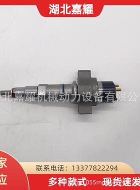 康明斯发动机喷油器总成5594305/4327072/4307452/4359204