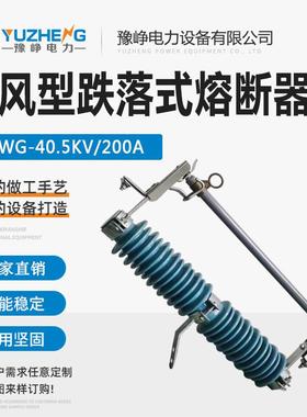 PRWG-40.5KV/100A 35KV户外高压陶瓷跌落式熔断器 HPRWG-35KV