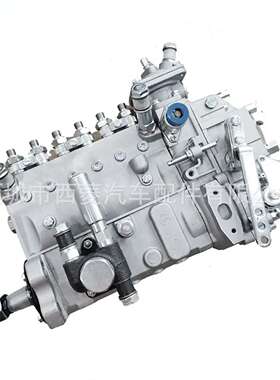 潍柴道依茨226B柴油发动机WP6铲车装载机喷油泵13053063高压油泵