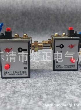 江山精益户内高压电磁锁DSN-I Y/Z高压柜电门锁电控锁左右开