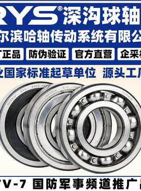 RYS 哈轴传动 6320 6321 63211 6324 6326 ZZ 2RZ