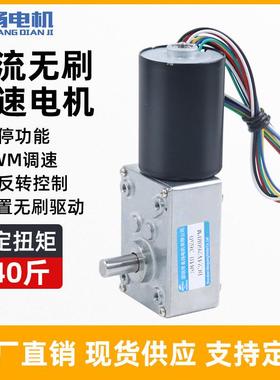 5840-3650蜗轮蜗杆无刷直流减速电机12伏24v微型可调低慢速小马达