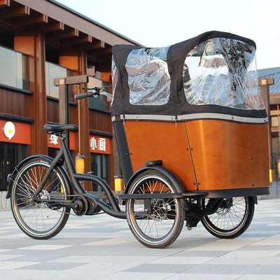 中置款cargo bike倒置电动三轮车东北倒骑驴货运车接送孩子宠物车