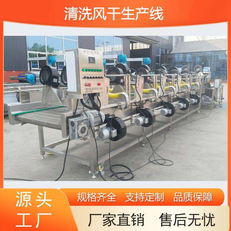 厂家直销清洗风干设备果蔬蓝莓樱桃草莓冷水槽清洗速干烘干流水线