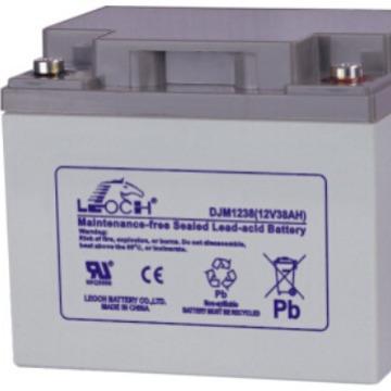 理士蓄电池 DJM1238S理士电池12V38AH铅酸免维护蓄电池