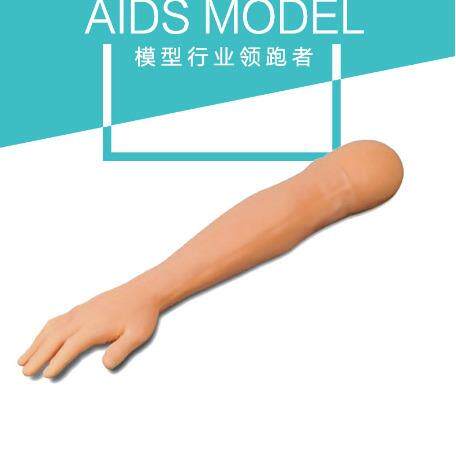 博友针刺训练手臂 仿真手臂 院内徒手训练假手臂